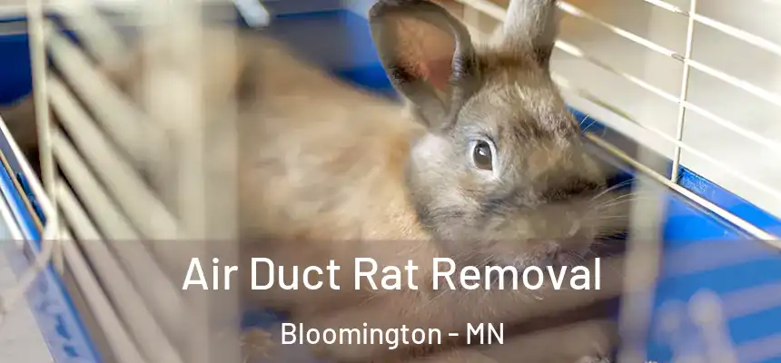 Air Duct Rat Removal Bloomington - MN