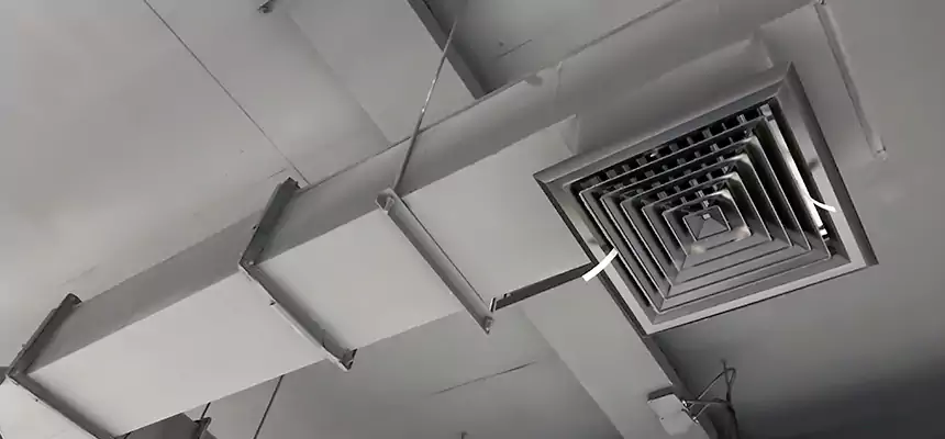 Our Rodent Droppings In Vents Services in Bloomington, MN