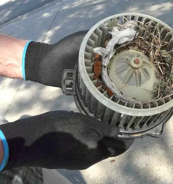 About Air Duct Mice Removal in Bloomington, MN