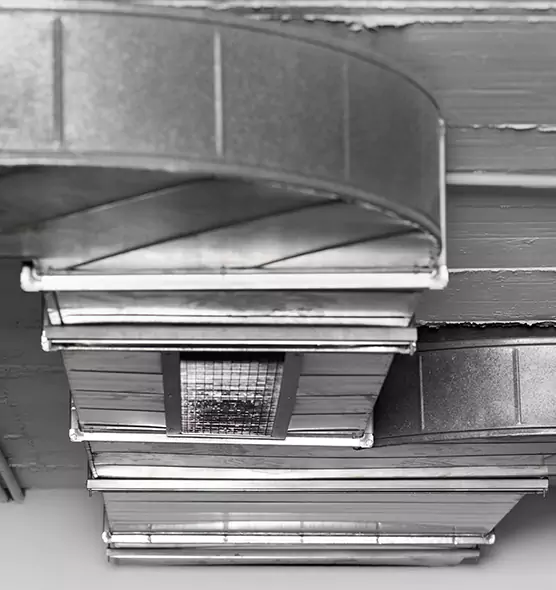 Professional Air Duct Pet Hair Removal in Bloomington, MN