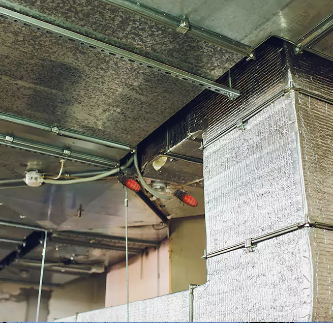 Why Homeowners & Businesses Trust Us in Bloomington, MN?