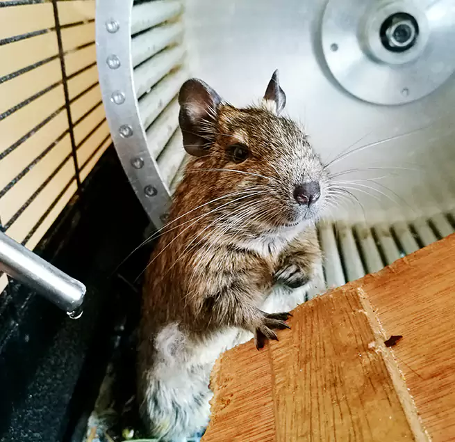 Why Homeowners & Businesses Trust Us Bloomington, MN